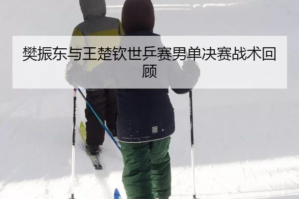 fan-zhen-dong-yu-wang-chu-qin-shi-ping-sai-nan-dan-jue-sai-zhan-shu-hui-gu-3-312.jpg