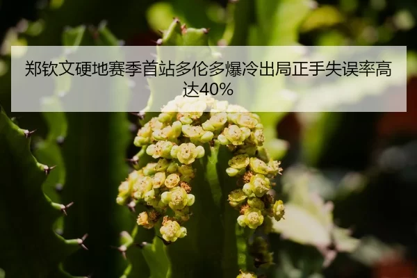zheng-qin-wen-ying-di-sai-ji-shou-zhan-duo-lun-duo-bao-leng-chu-ju-zheng-shou-shi-wu-lv-gao-da-3-418.jpg